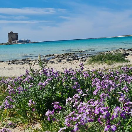 Piccola Residenza Marina Villa Sant Isidoro  Eksteriør bilde
